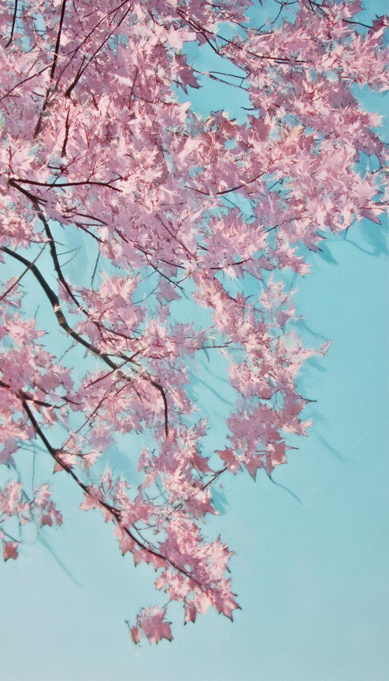 抖音店铺怎么给达人千川投流_抖音千川投流达人操作指南插图