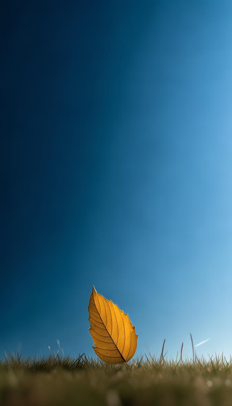 抖音涨粉专用背景图_抖音背景助力涨粉插图 抖音涨粉专用背景图_抖音背景助力涨粉插图